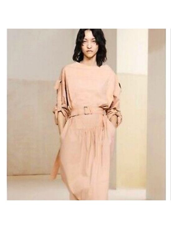 Zara Dresses & Skirts - NWT Zara SRPLS Limited Edition Belted Dress, Size L